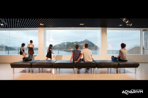 Fotos-Aquarium-san-sebastian-20